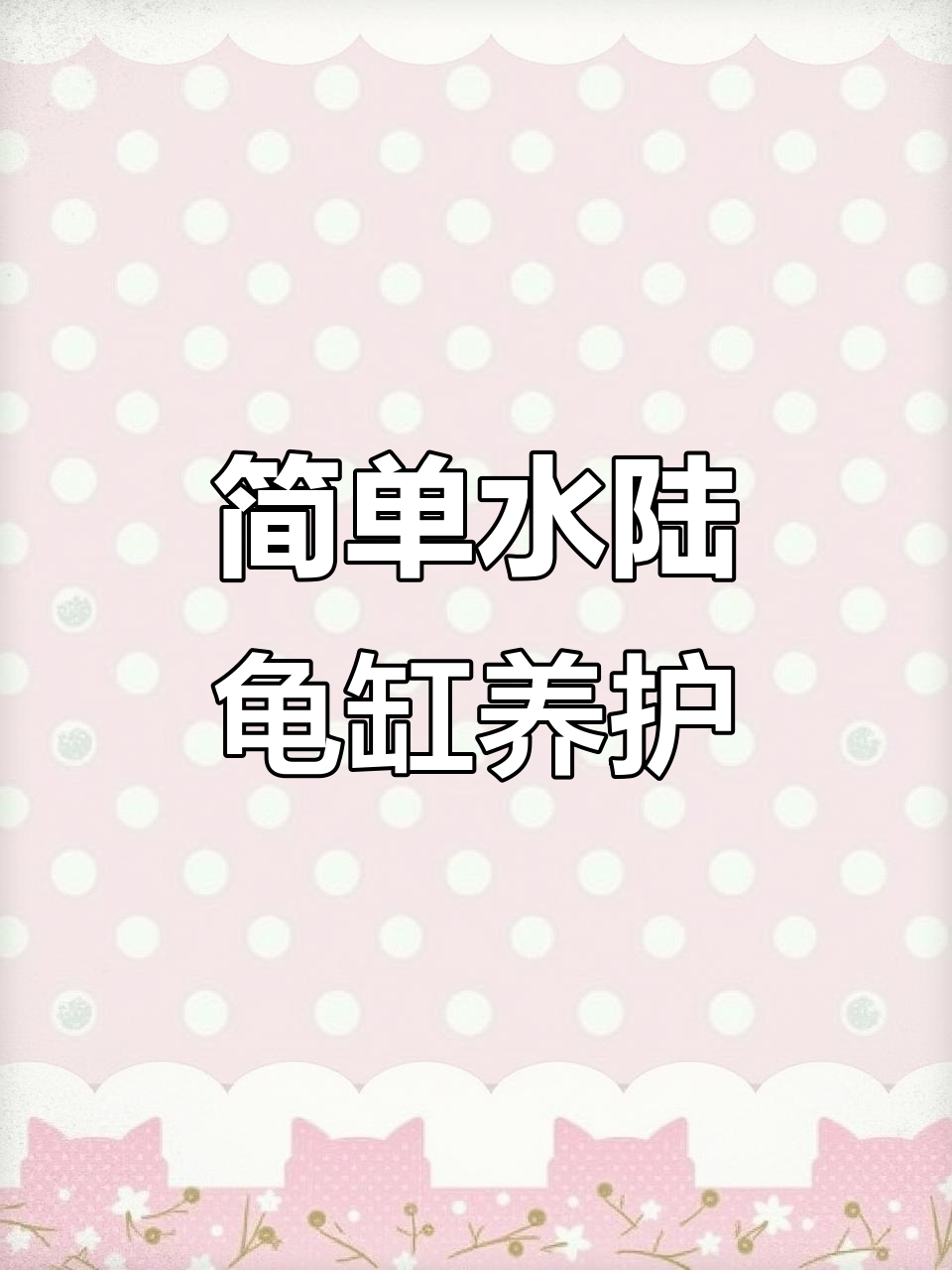 水陆缸造景全攻略:打造生态小池塘,乌龟轻松爬出