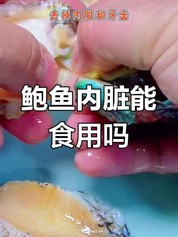 鲍鱼内脏能吃吗?揭秘海藻季节与毒性