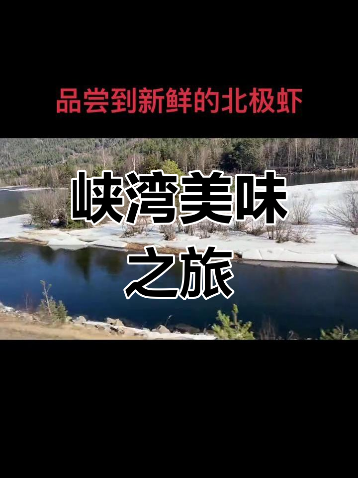 3月19日穿越挪威峡湾尝鲜北极虾遇惊喜