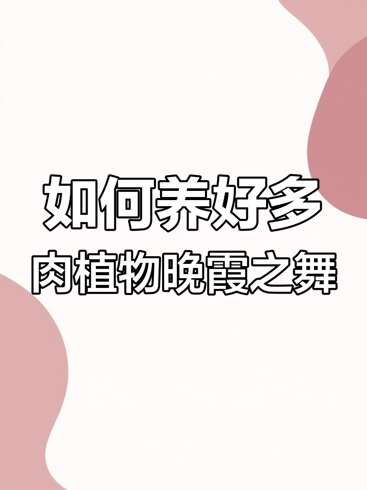 晚霞之舞养护全攻略:轻松掌握水光管理