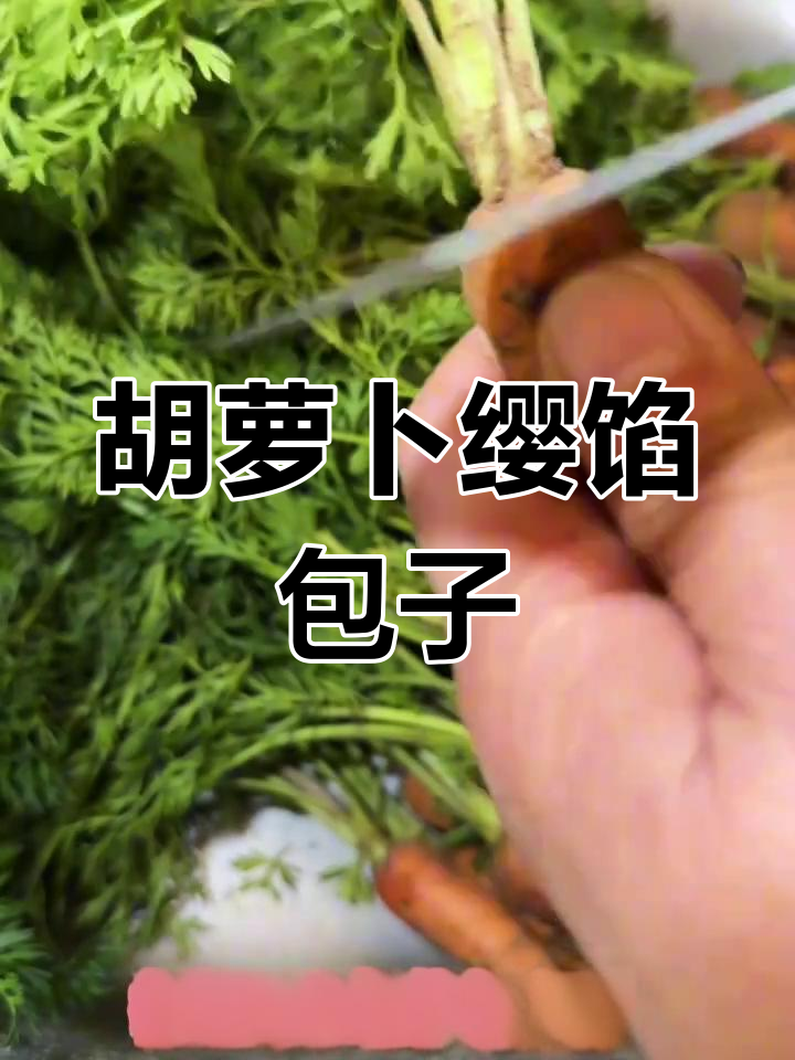 乡村胡萝卜缨大包子,真材实料的美味