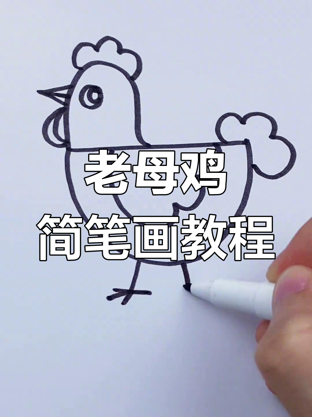 简单几步画出老母鸡