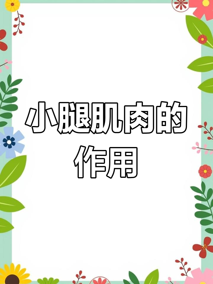 小腿肌群解析:前、外、后侧功能