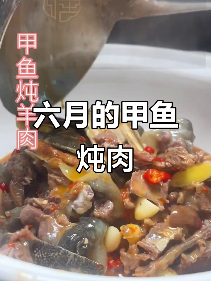 甲鱼炖羊肉,六月六的绝味搭配!