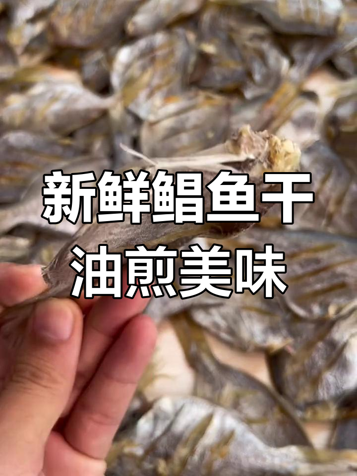 开海晒鲳鱼干,干净又新鲜,油煎两分钟超香