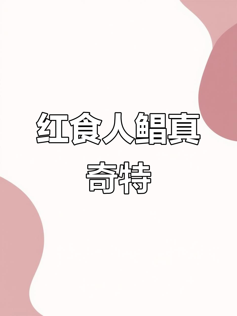 红鲳鱼带牙齿,竟然这么好看!