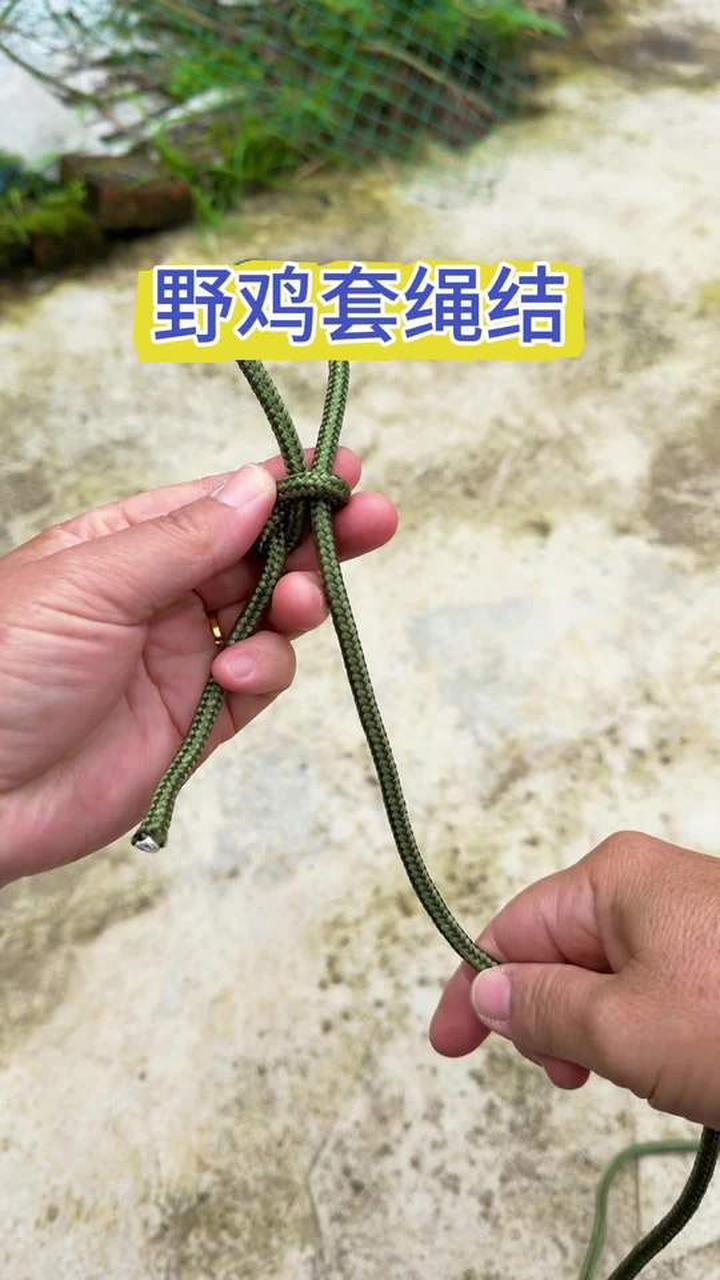 相传这是古人发明的野鸡套绳结,打法简单