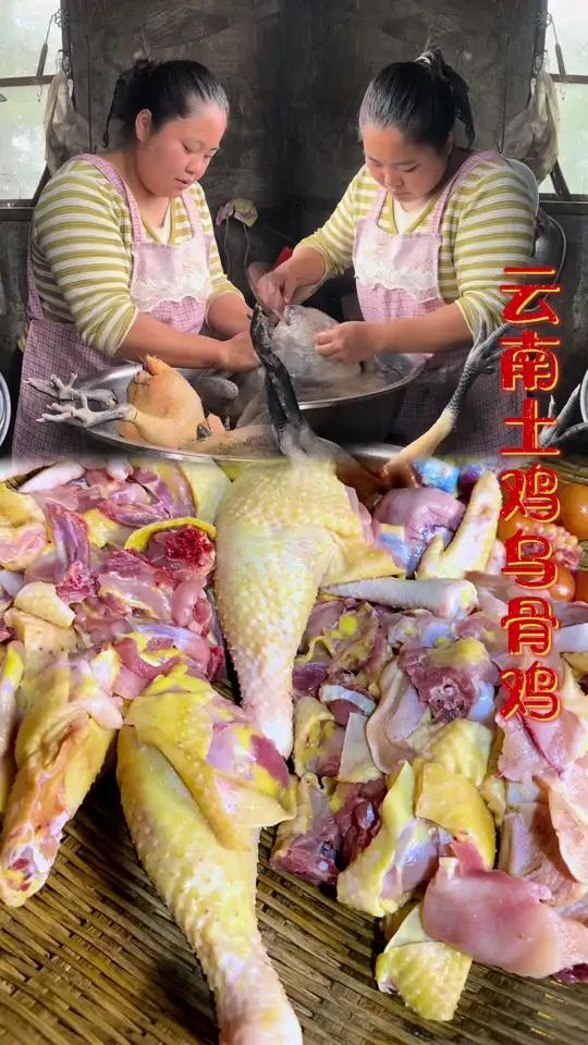 云南高山土鸡,乌骨鸡