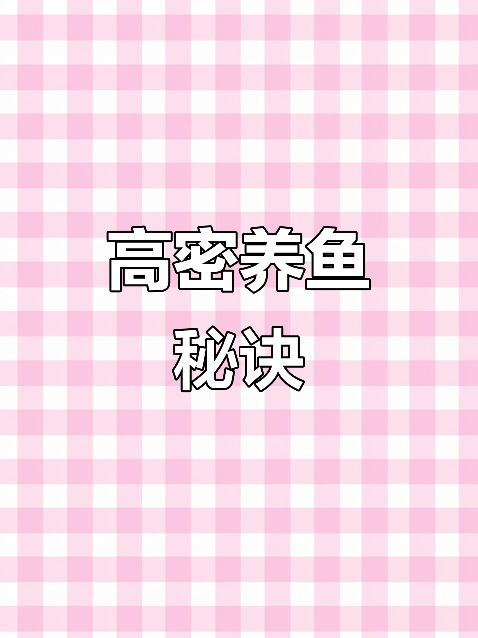 埃及塘鲺鱼,高密度养殖,4个月即可收获,每亩2万尾