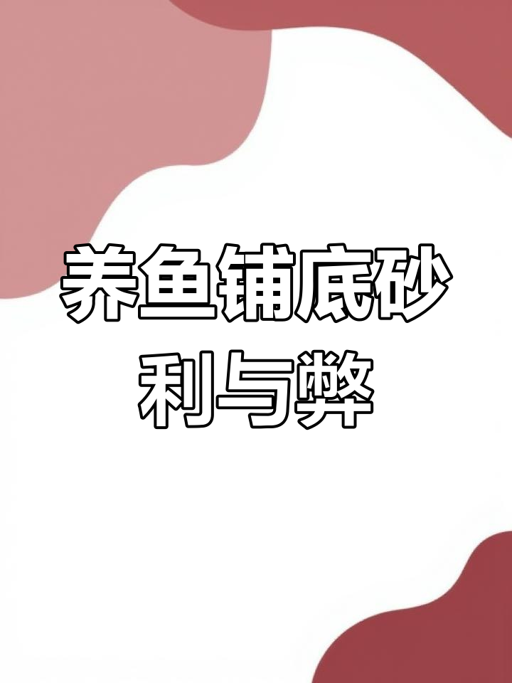 迷你鹦鹉鱼饲养技巧:底砂铺设的好处