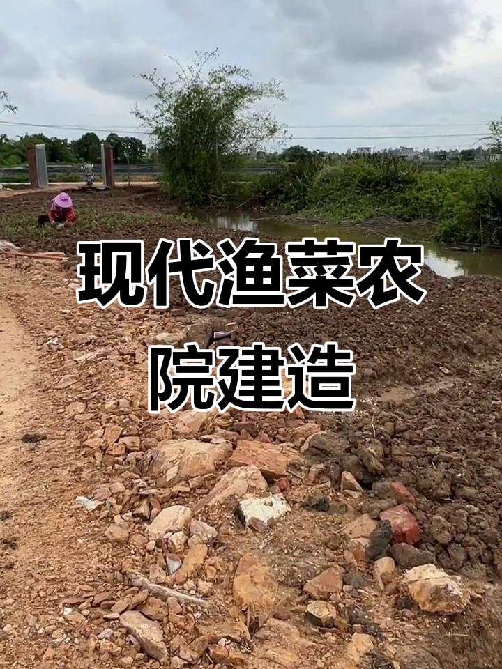 鱼菜共生系统建设揭秘:投资大、自动化关键