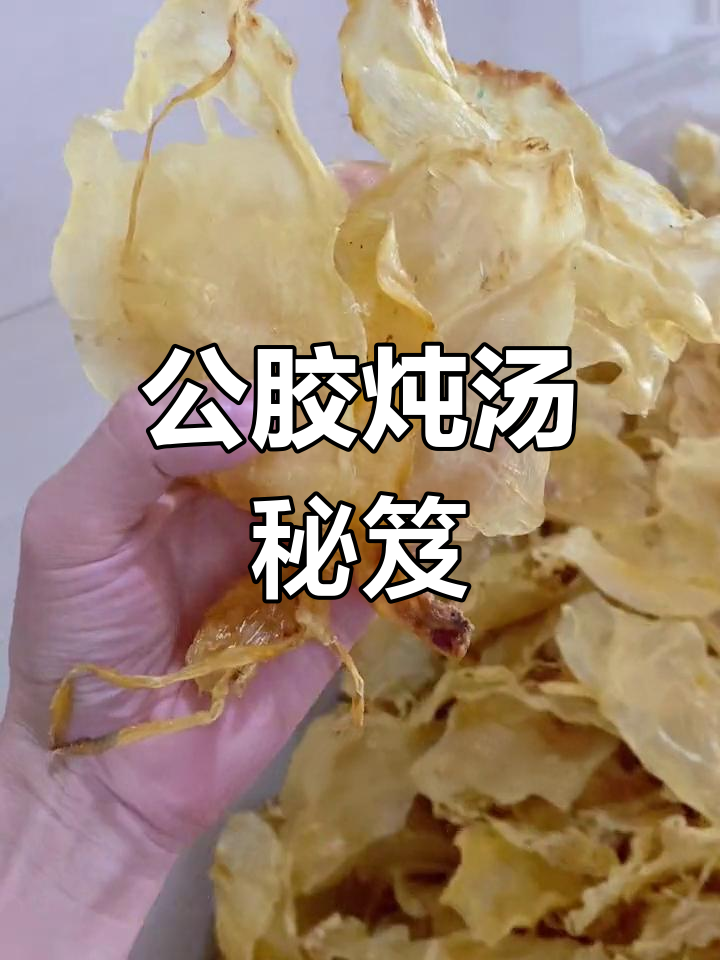 斗湖公胶,炖汤口感绝佳,Q弹十足,酒店必备