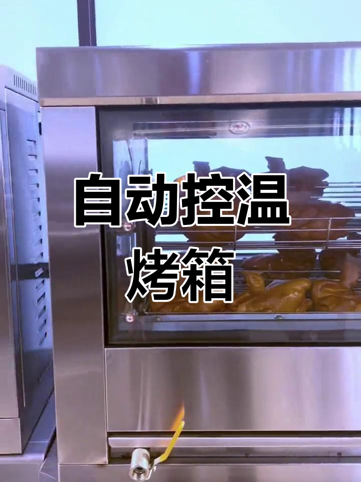 燃气自动恒温烤鸭鸡箱,商用厨房设备