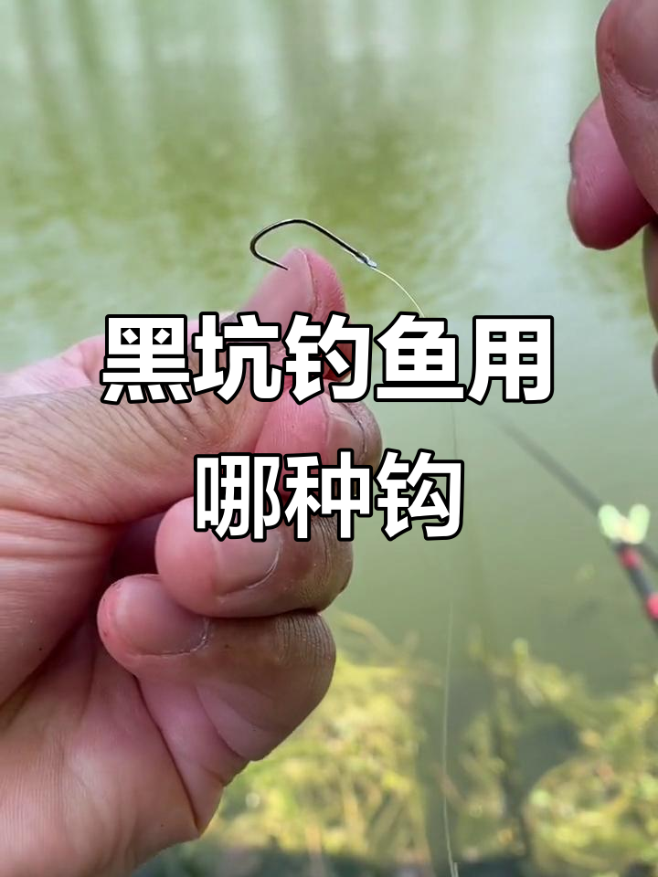 黑坑钓鱼必备！狼牙鱼钩选型指南，三种钩子适合不同钓法