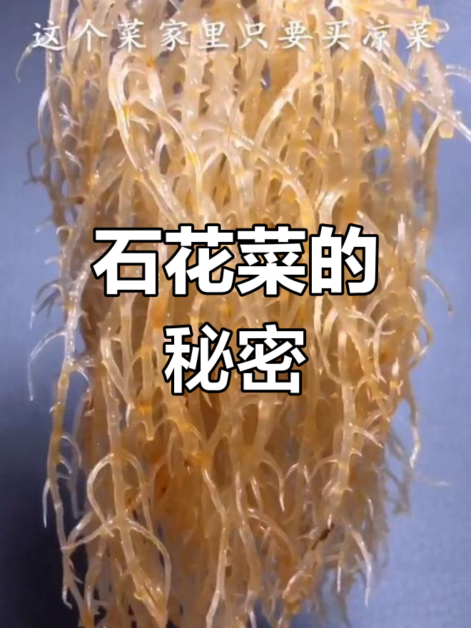 河南农村常见脆凉菜,原来是石花菜!你叫它啥?