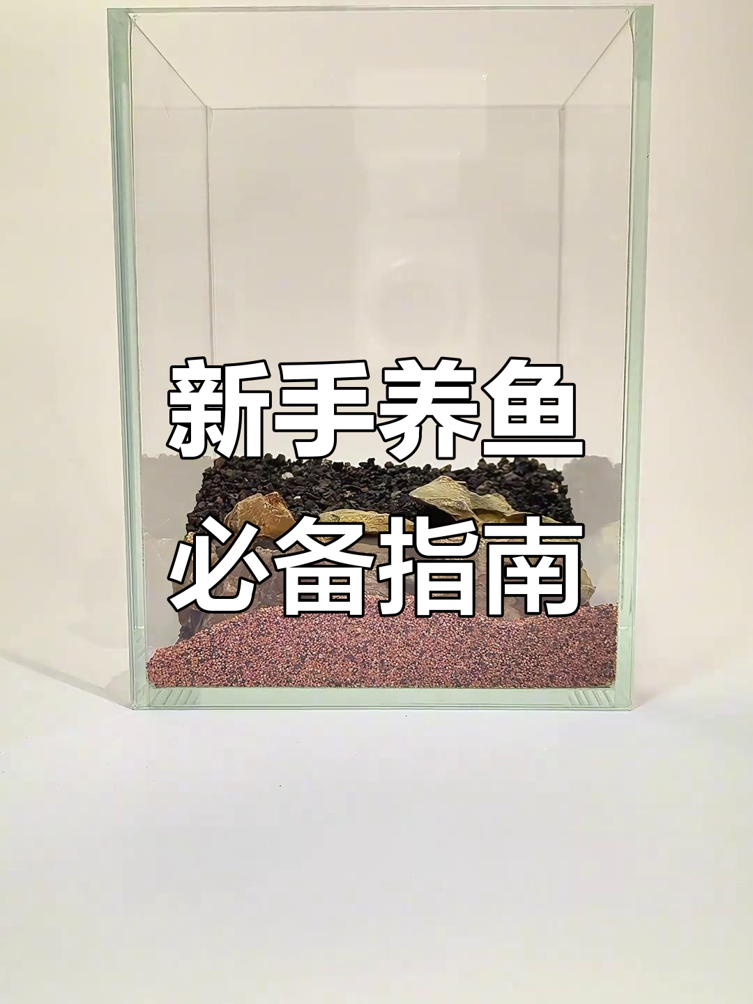 生态鱼缸开缸全攻略，新手必看！从造景到种水草一步到位