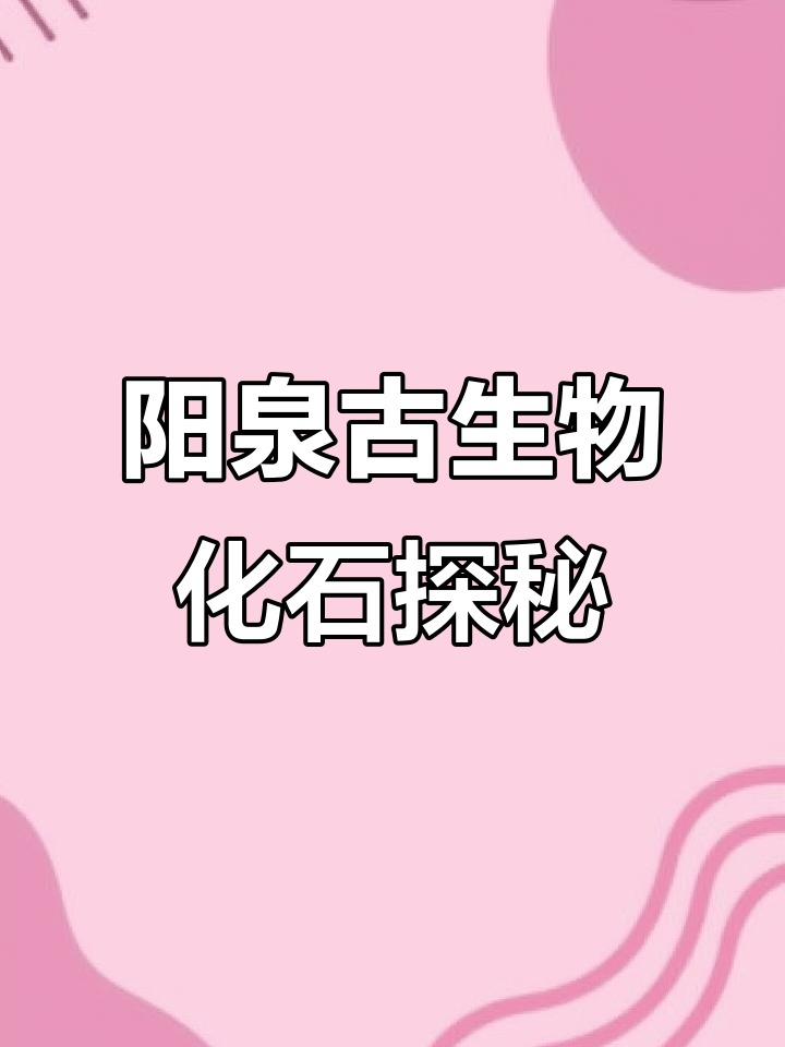 阳泉煤矿发现古生物化石,揭秘石炭纪林木与蕨类植物
