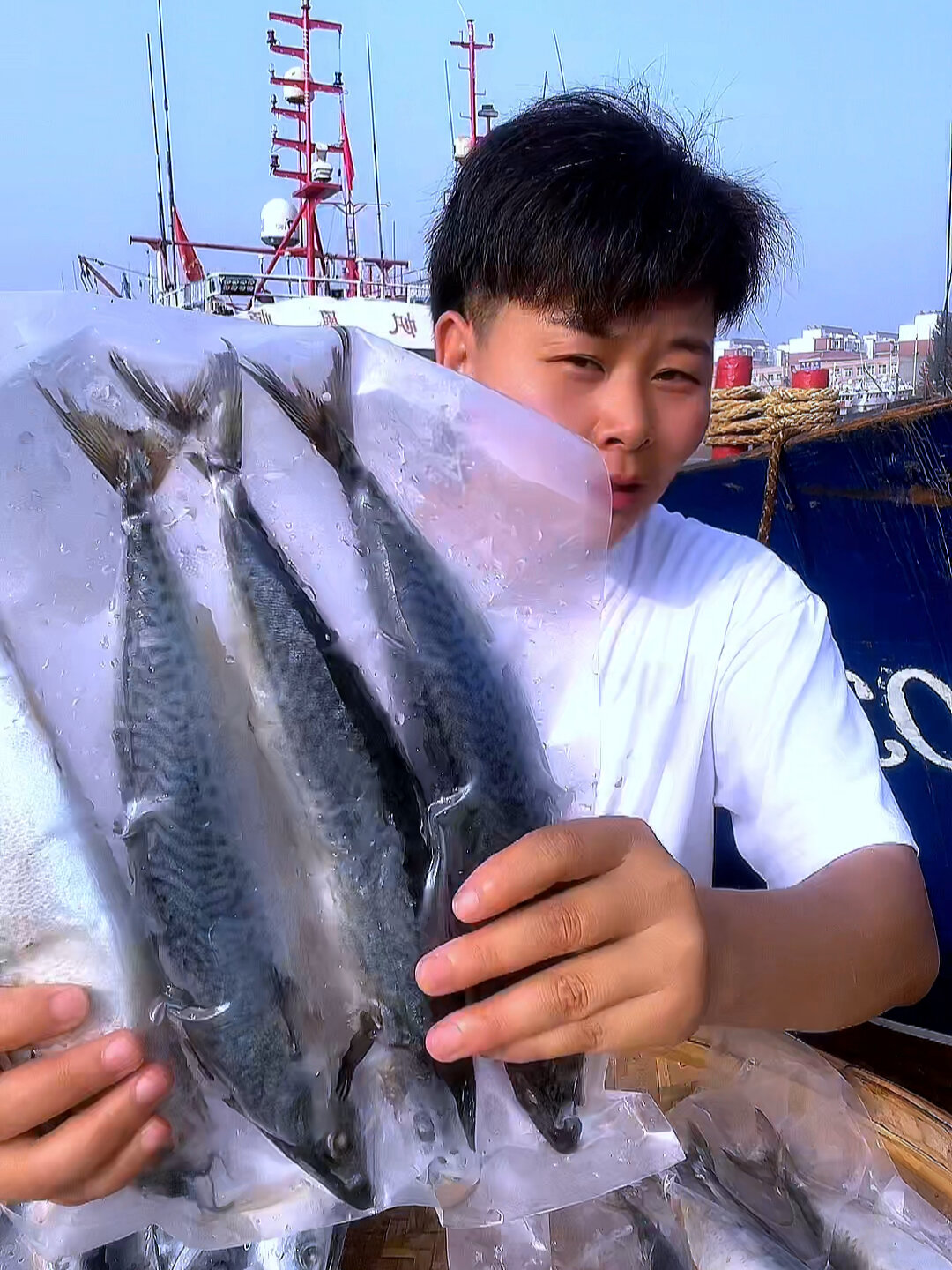 青花鱼也叫鲭鱼鲐鲅鱼花仙鱼
