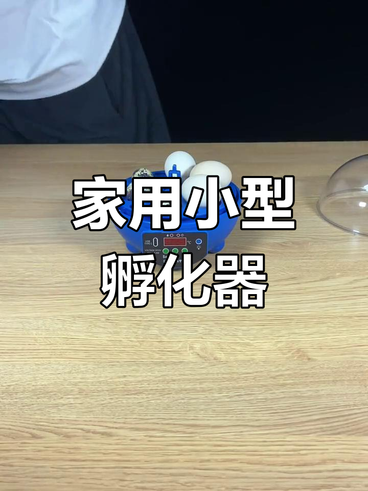 全新家用圆形孵化器,轻松孵小鸡