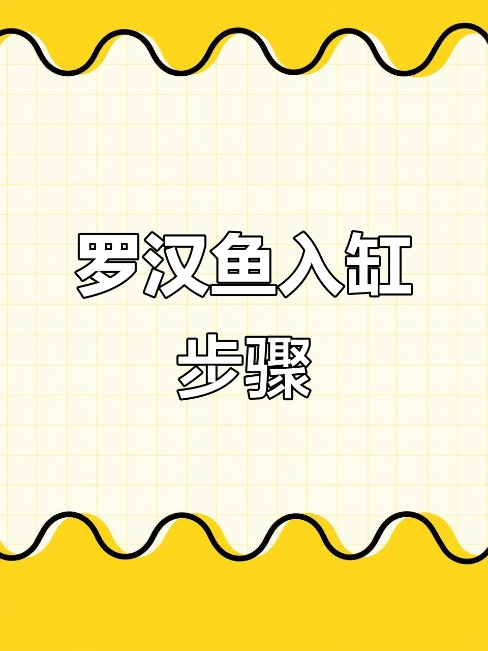小罗汉鱼入缸，水质调节与健康管理全攻略