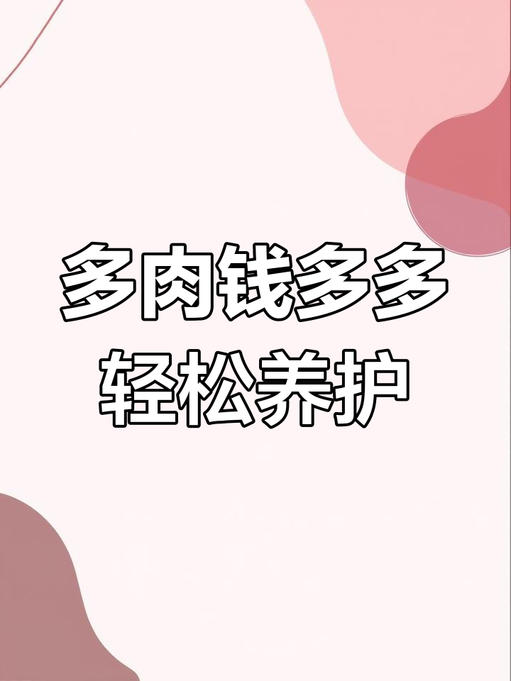彩色多肉植物,防辐射又美观,新手必选大盆新品