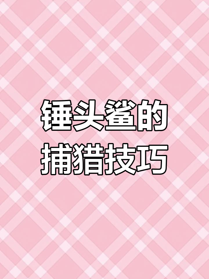 双髻鲨:顶级掠食者,视觉超乎想象