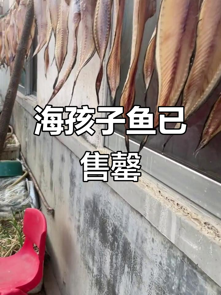 海鲜爱好者必看!这批海孩子鱼已经全部预定,明年提前预订哦