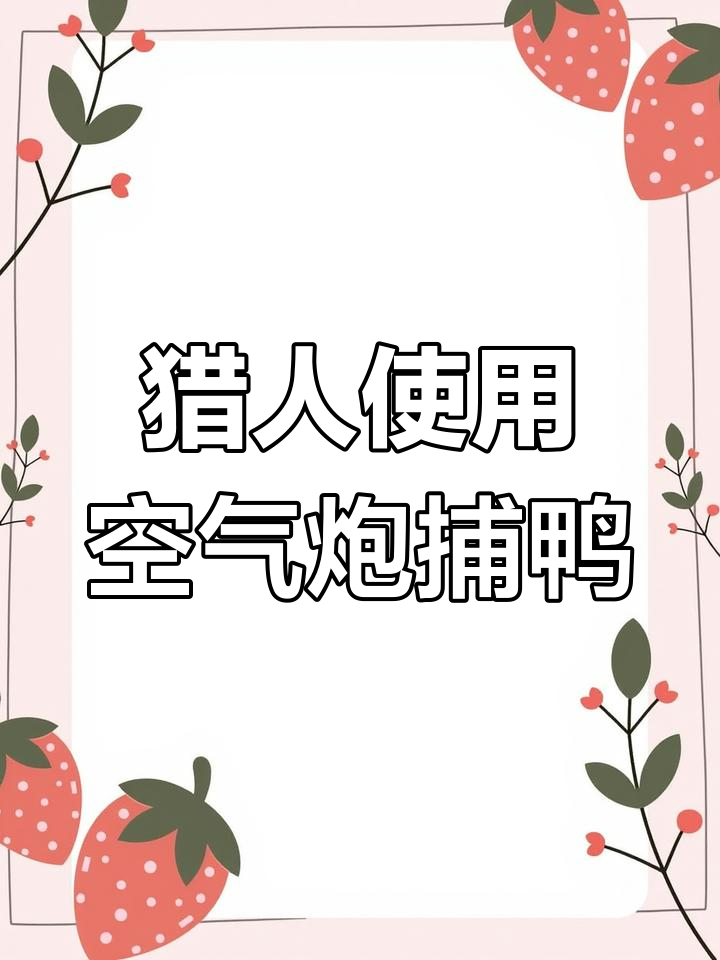 西班牙猎人用空气炮捕捉岸边野鸭,大网一撒全捕获