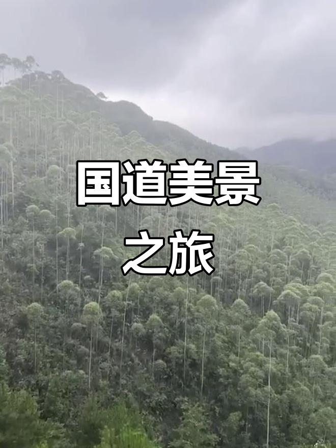 穿越广西边境,219国道尽显自然之美