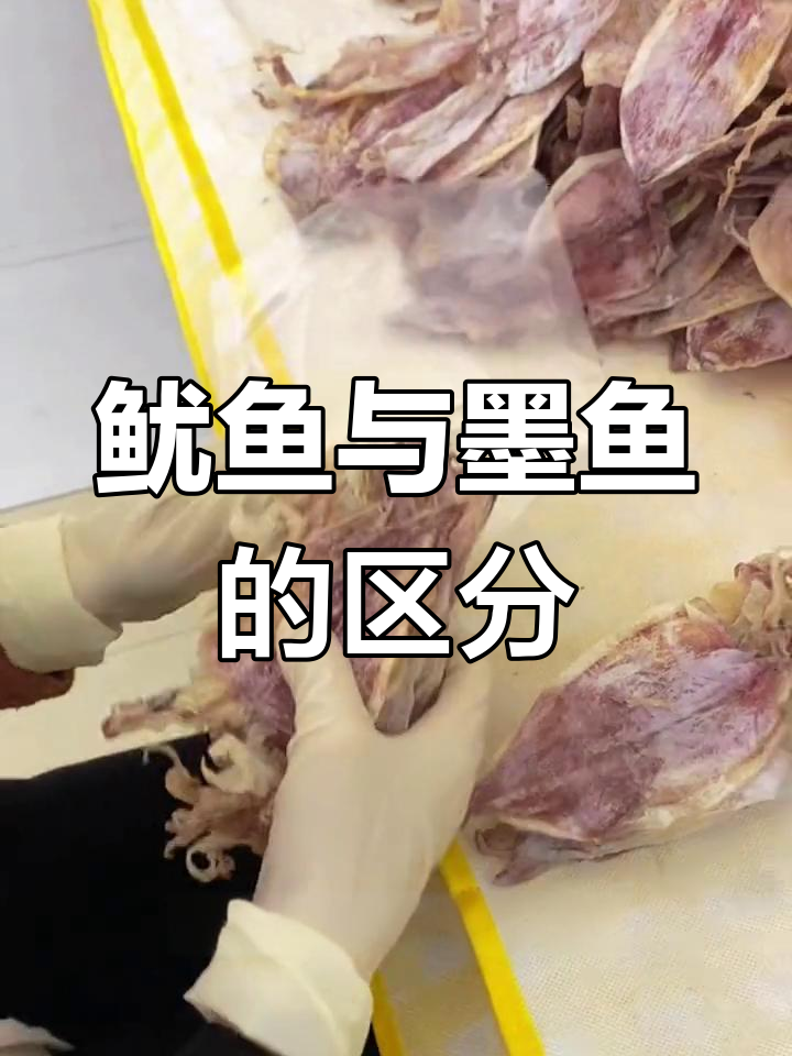 鱿鱼干薄而脆,墨鱼干厚实有嚼劲,轻松辨别!