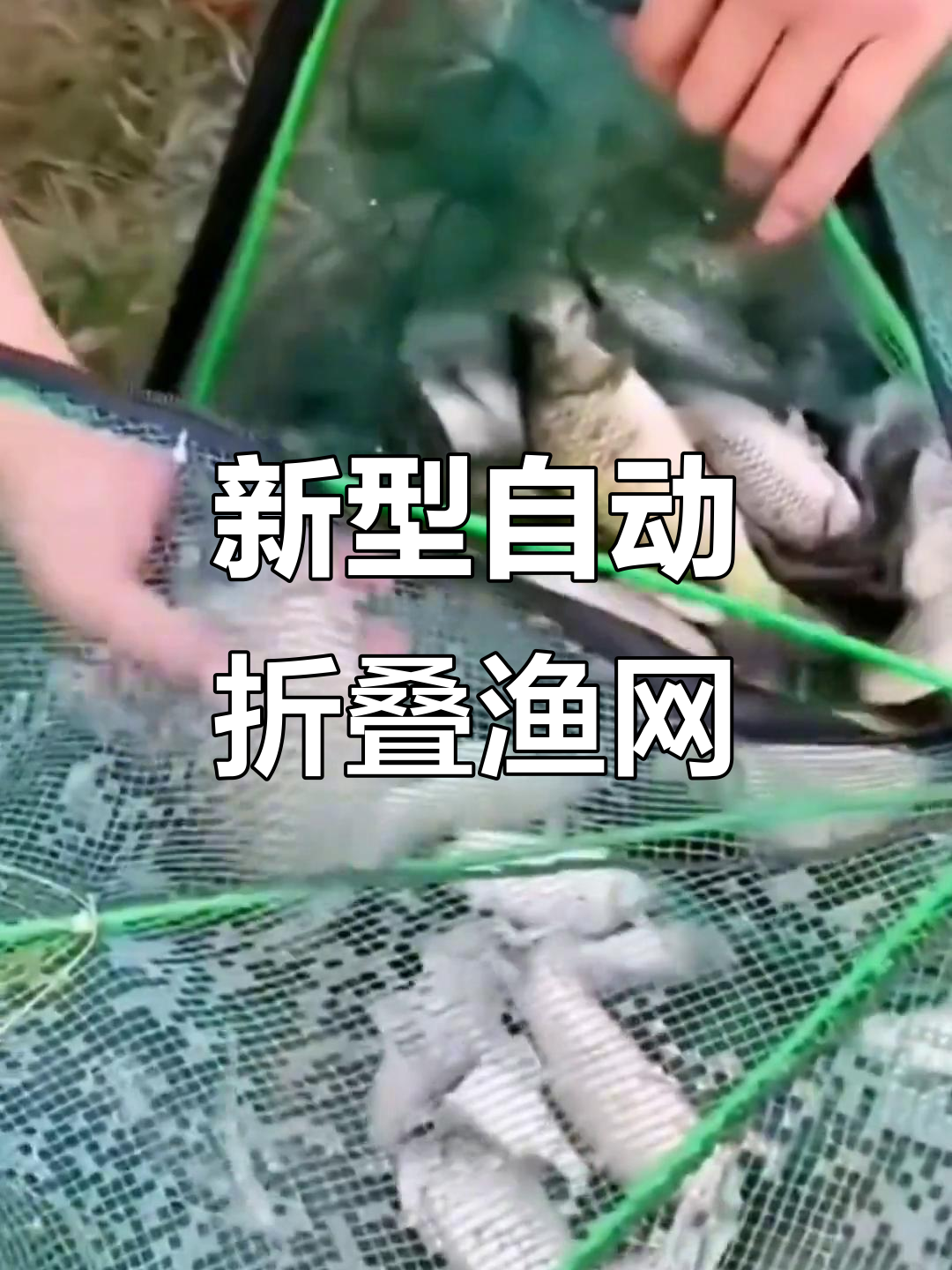 自动折叠捕鱼网,轻松捞大虾小鱼王八