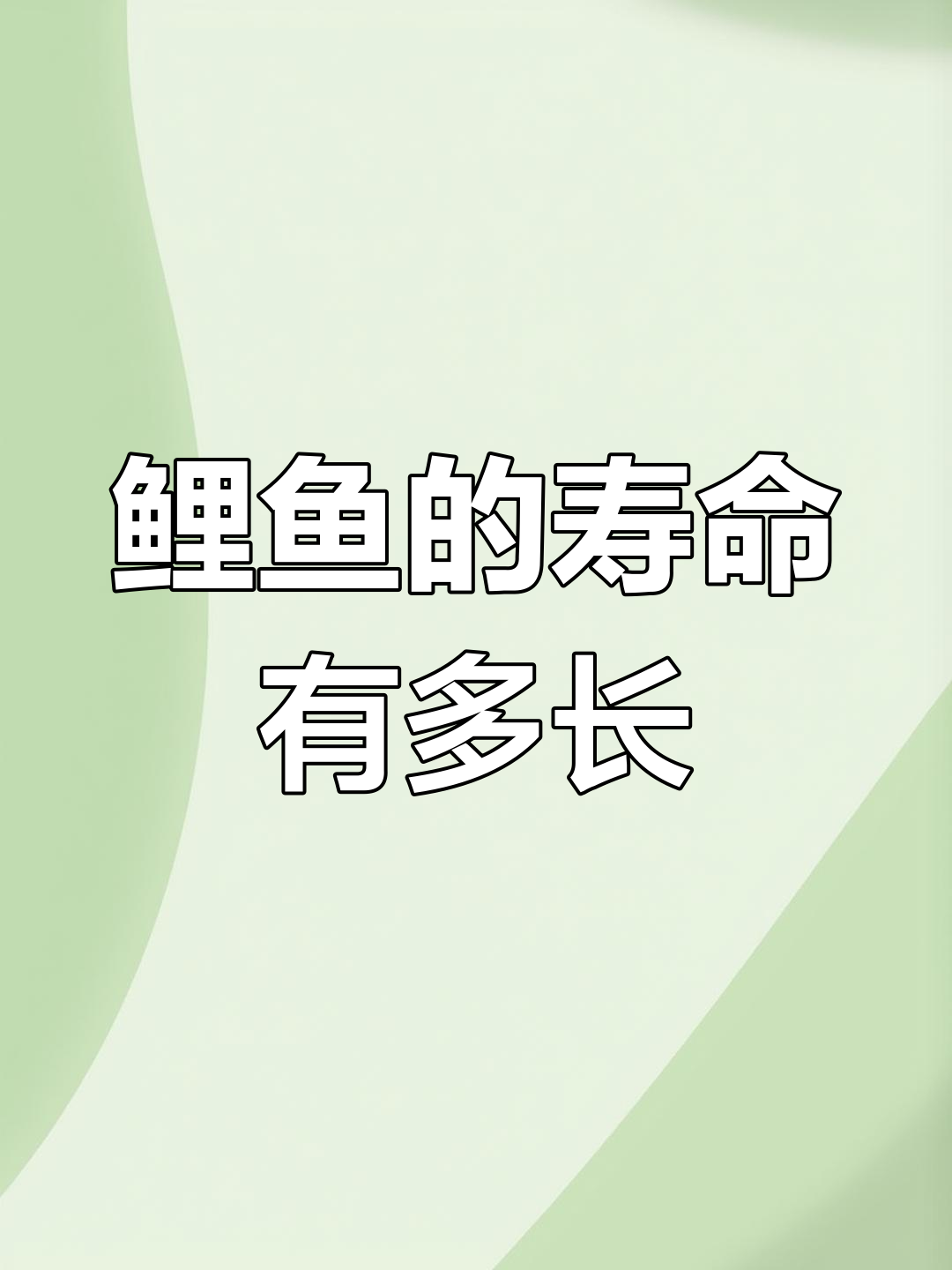 鲤鱼能活多久?水质和食物决定寿命长短