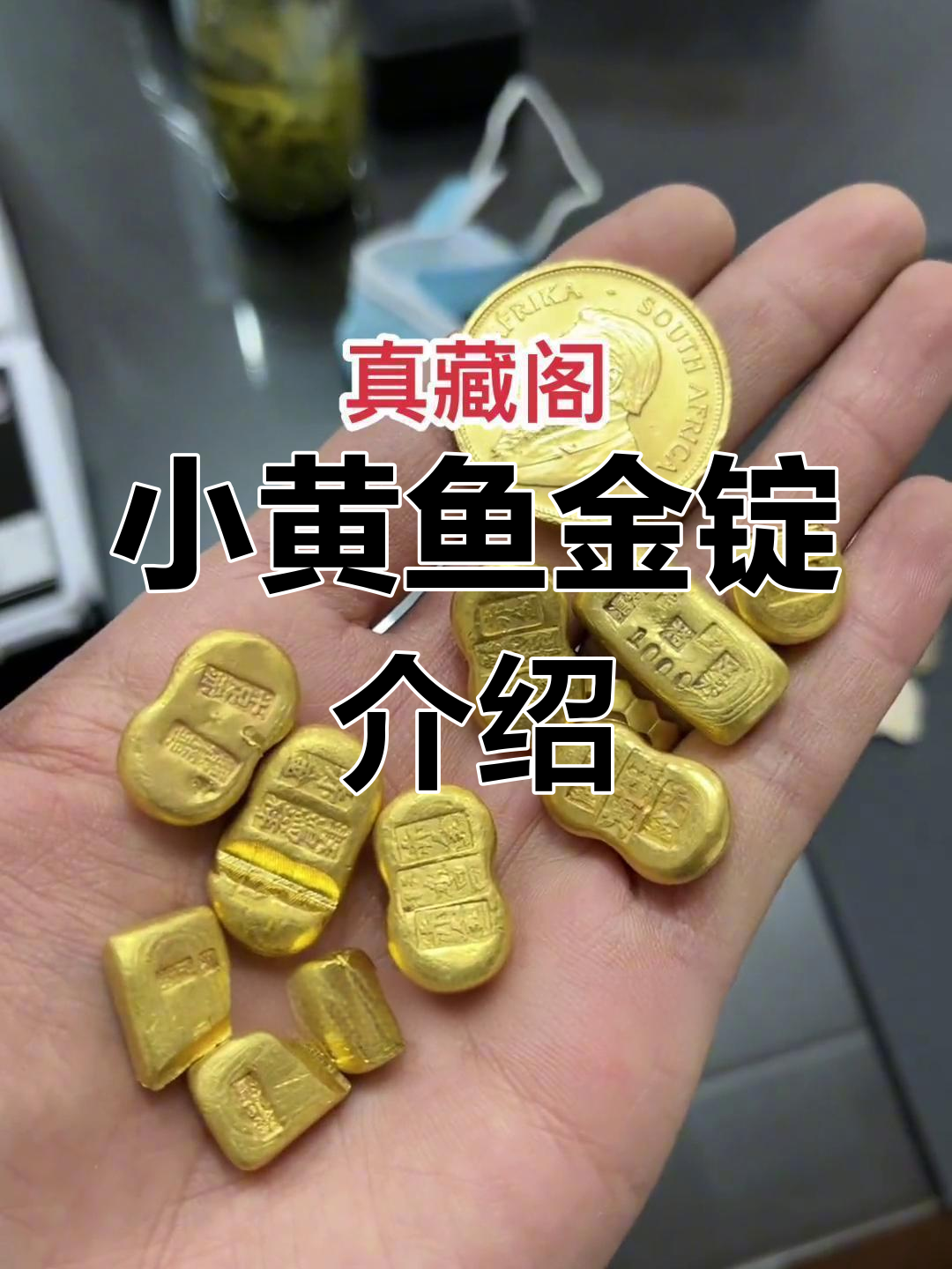 民国时期小黄鱼金锭解析