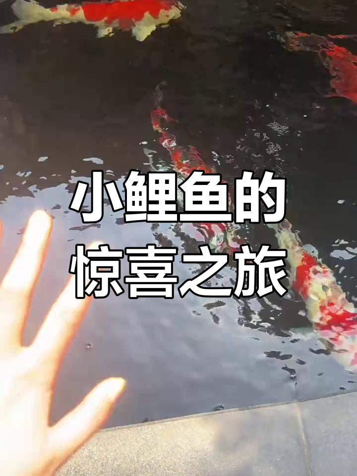 风景如画,小鲤鱼也忍不住惊叹!