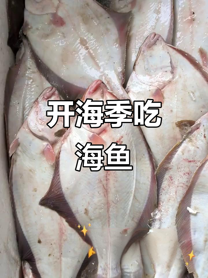 秦皇岛开海季,新鲜海鱼大快朵颐