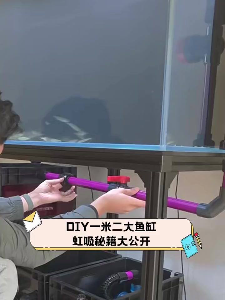 DIY一米二大鱼缸,虹吸秘籍大公开