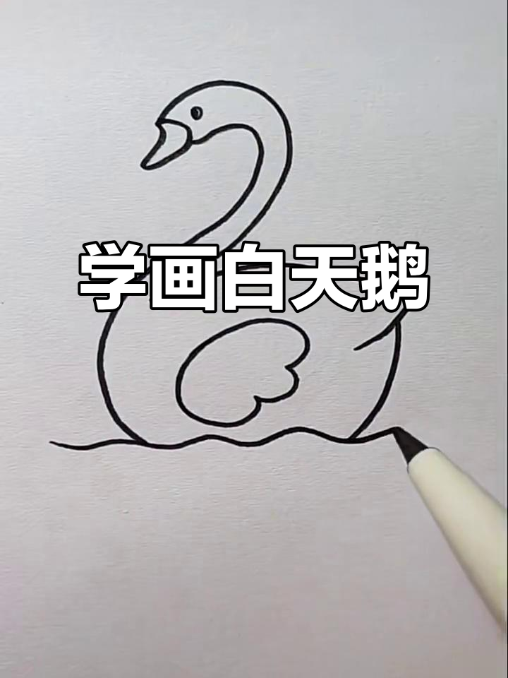 轻松学画白天鹅,简单步骤教你画出可爱天鹅