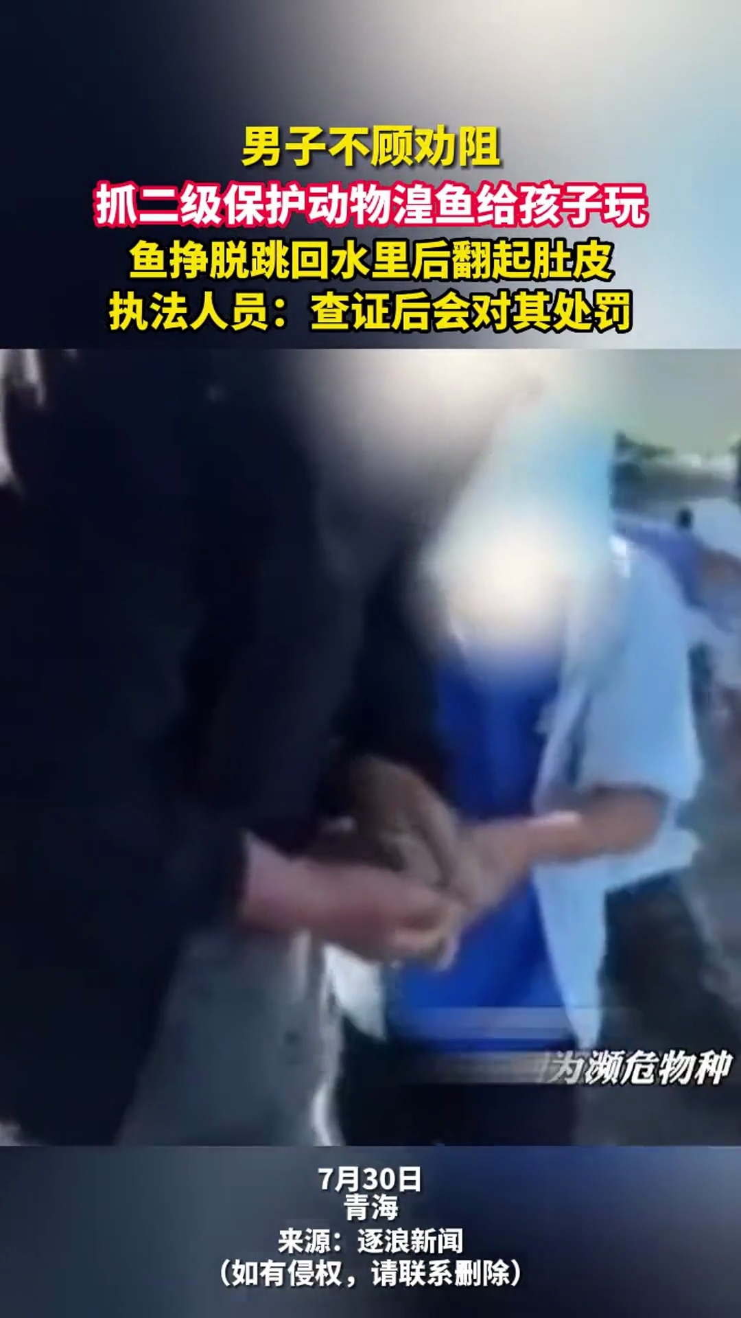 据极目新闻,男子不顾劝阻,抓二级保护动物湟鱼给孩子玩,鱼挣脱跳回水里后翻起肚皮,执法人员: