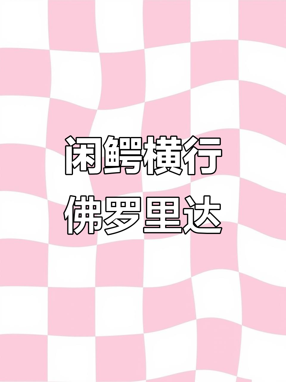 佛罗里达州：鳄鱼悠闲散步，居民却不敢靠近