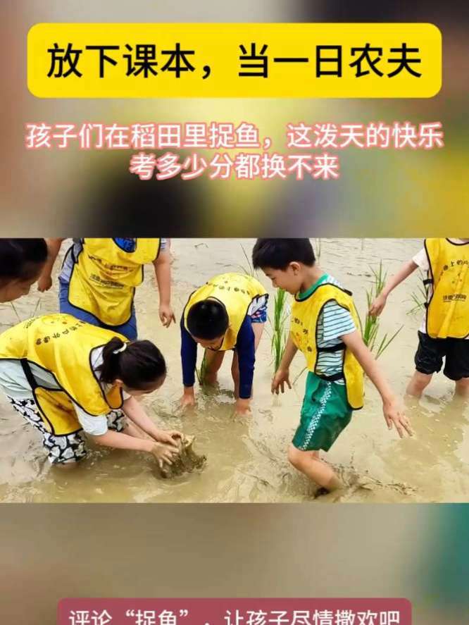 春耕插秧，浑水摸鱼……春游正当时#深圳遛娃#亲子活动#儿童独立营#春游#插秧