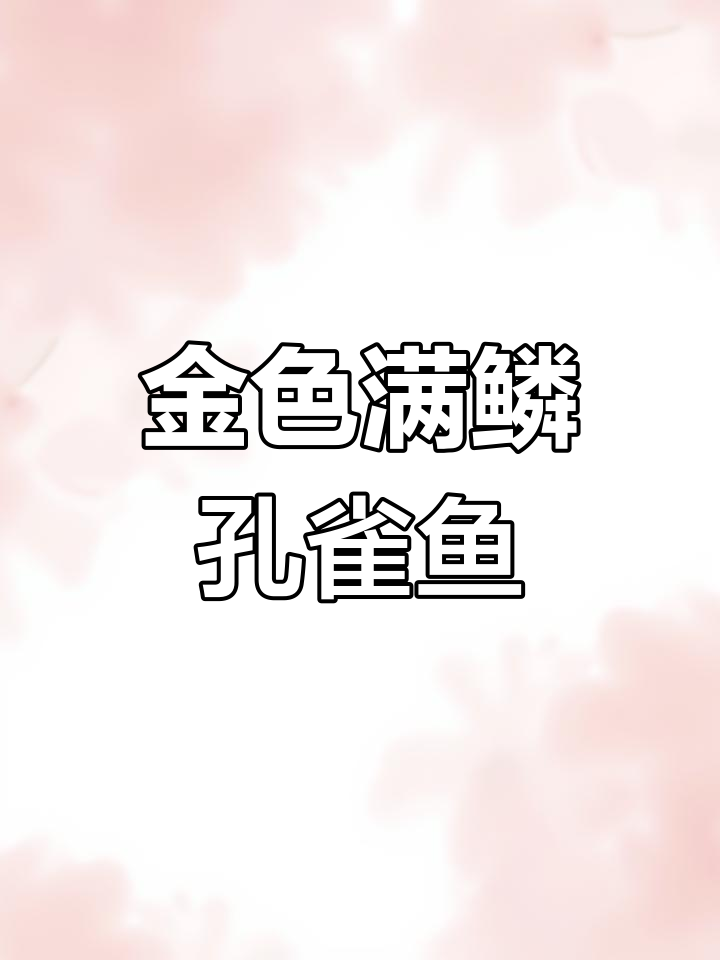 满鳞黄金孔雀鱼:金黄色小金条,霸气十足