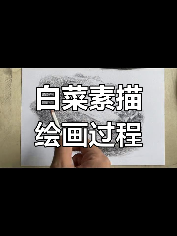 素描白菜绘制技巧解析