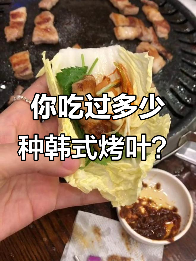 韩国烤肉叶子大揭秘,竟然能吃的都摘下来吃了!