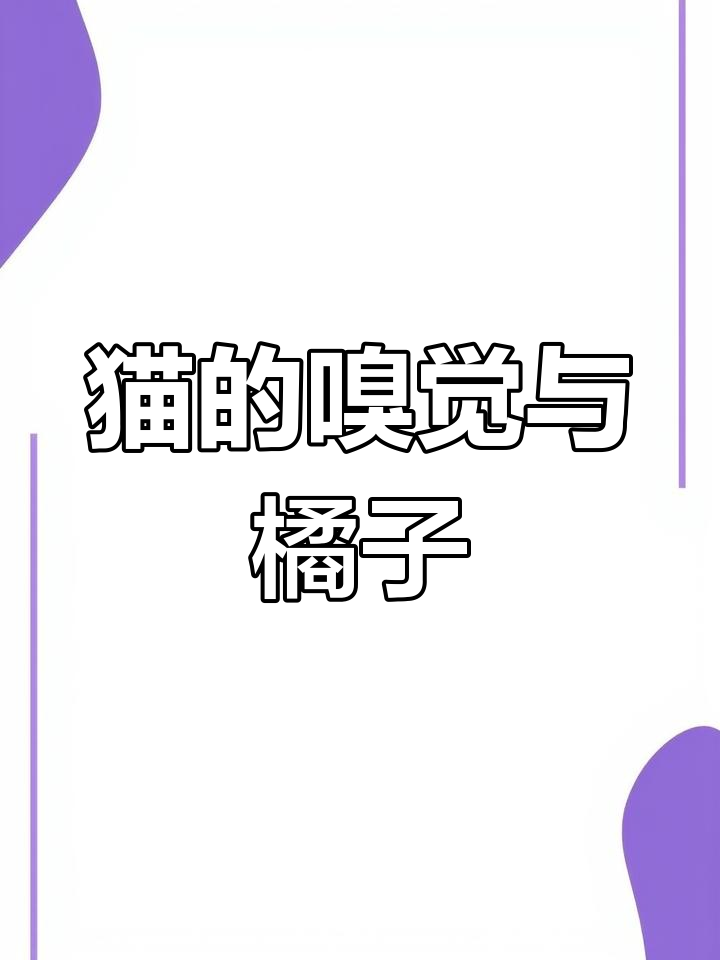 猫咪为何对柑橘味敏感?