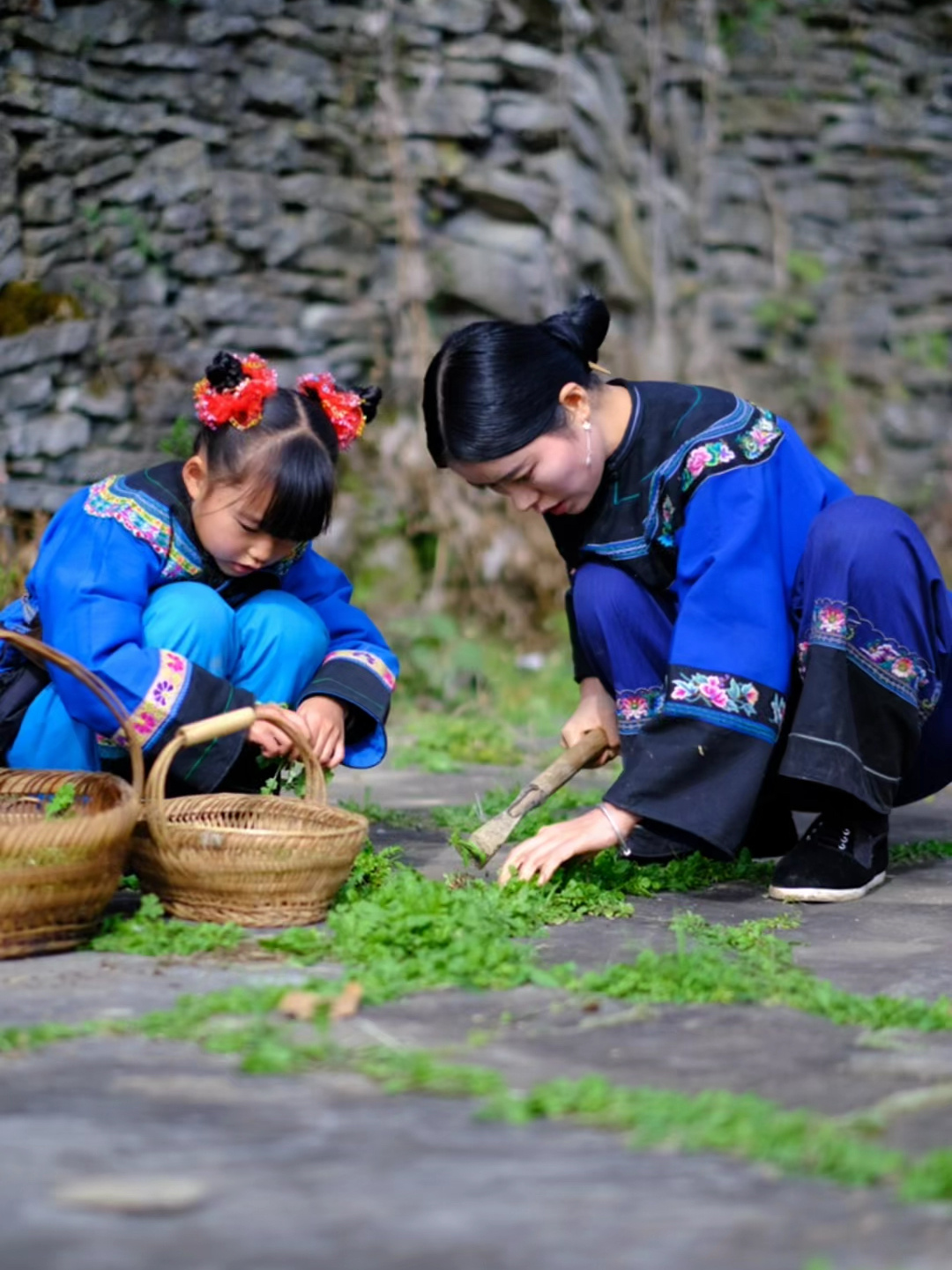 野芥菜,童年美食,你吃过吗?