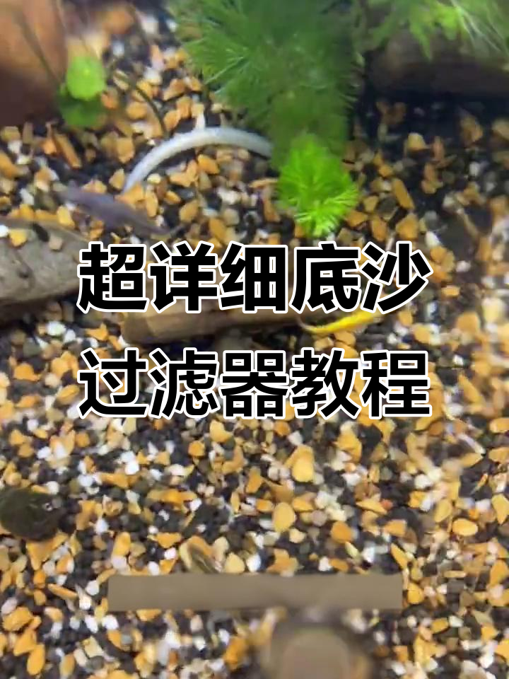 底砂过滤鱼缸全解析:如何选大颗粒、避免气泡困扰