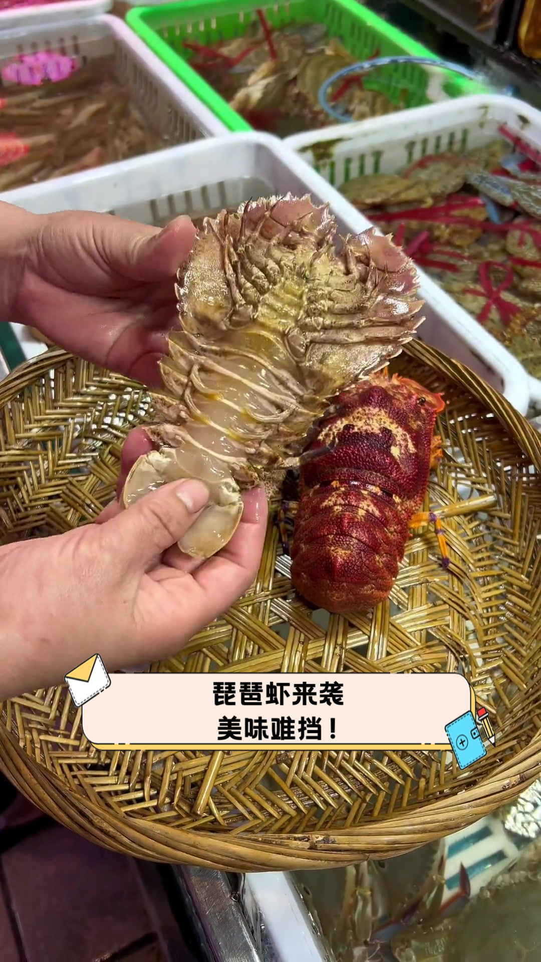 琵琶虾来袭，美味难挡！