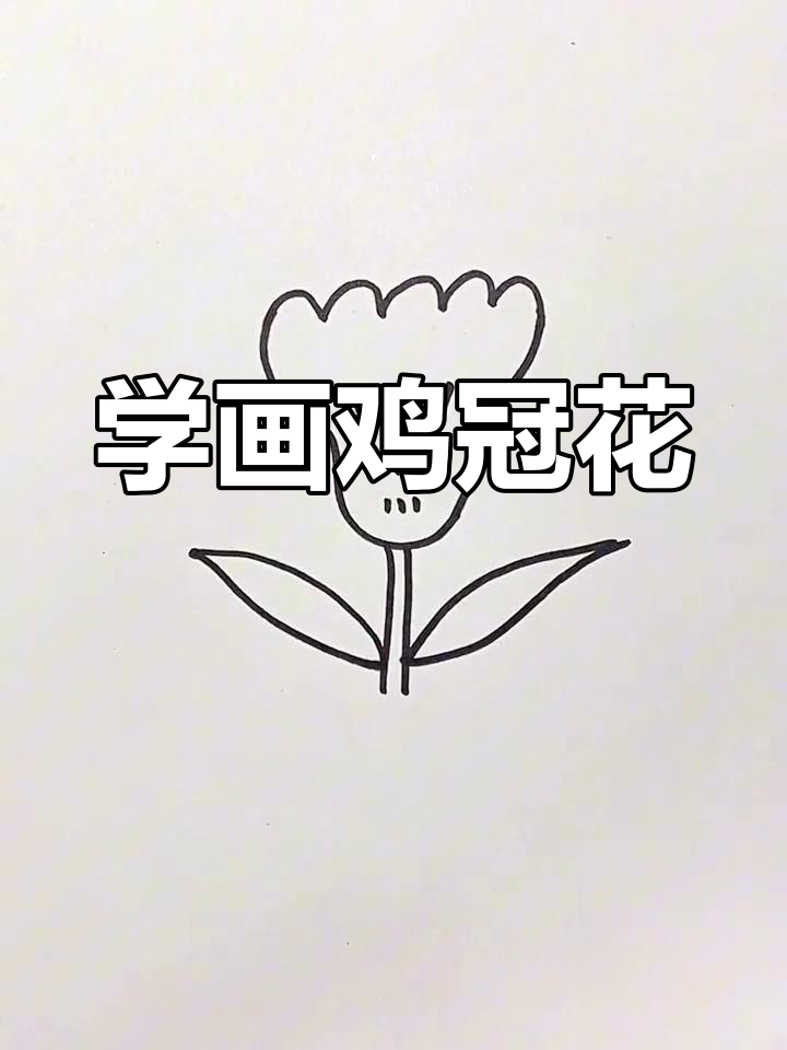 简单几步画出鸡冠花