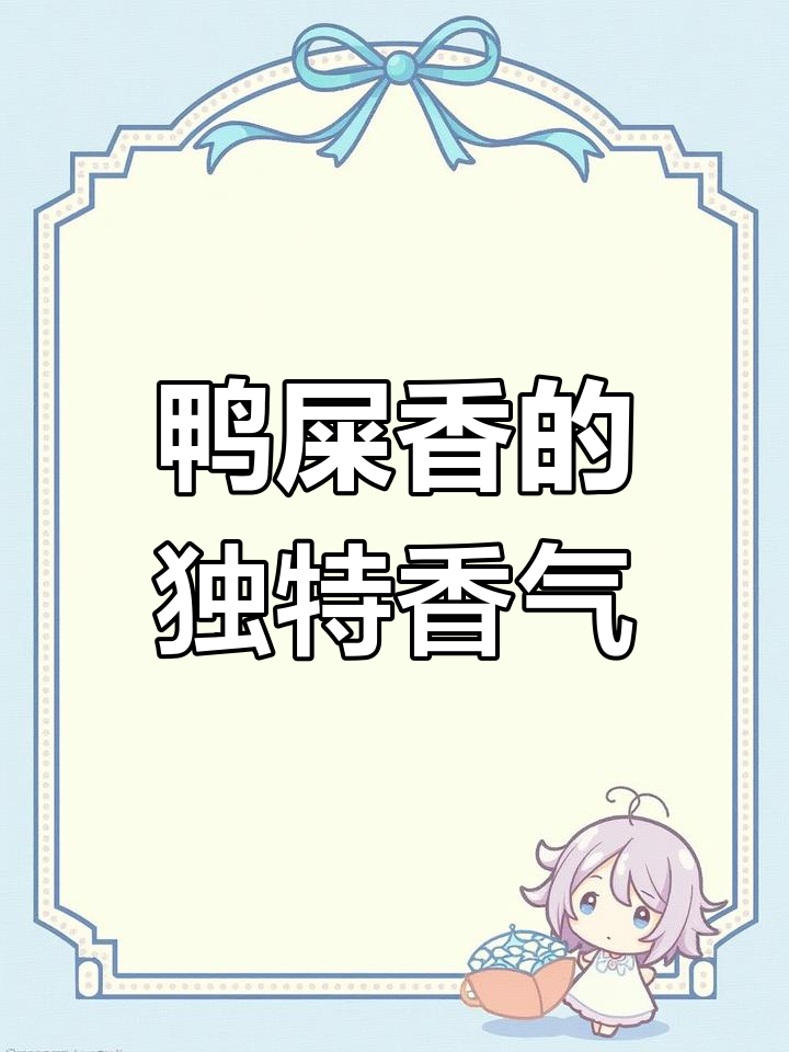 鸭屎香茶到底什么味?栀子花香、果甜还是奶香?