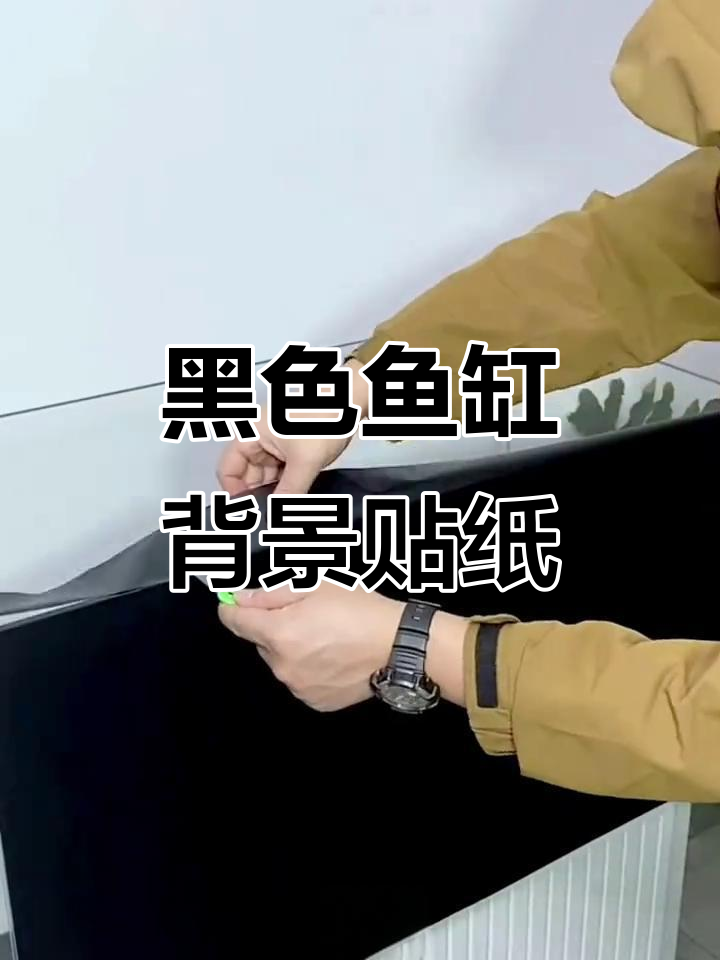 鱼缸壁纸选黑色最百搭，轻松打造完美背景
